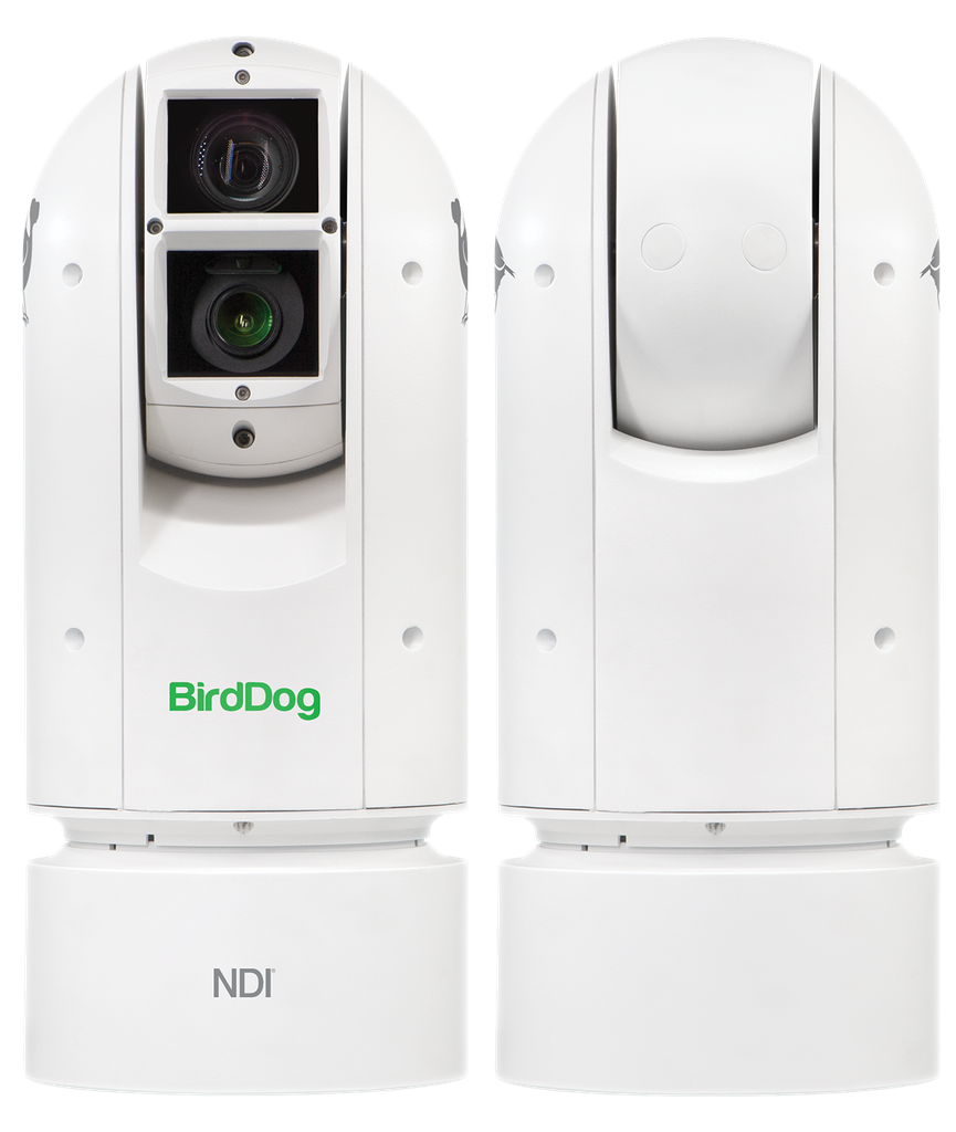 BirdDog NDI Eyes A300