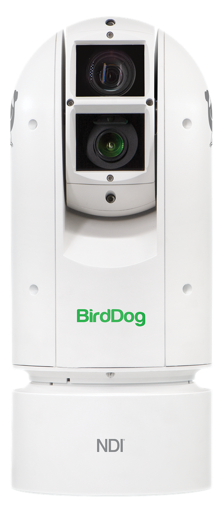 BirdDog NDI Eyes A300