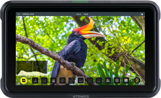 Atomos Shinobi 5” HDR Photo &amp; Video Monitor