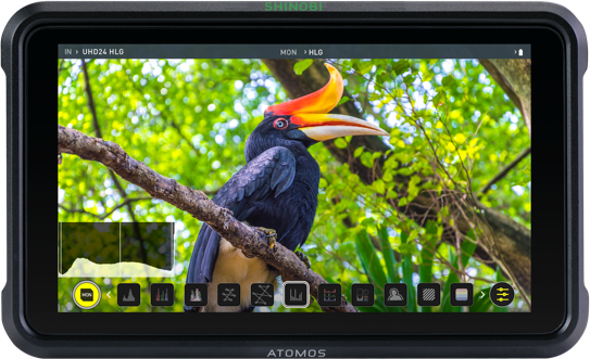 Atomos Shinobi 5” HDR Photo & Video Monitor | My Website